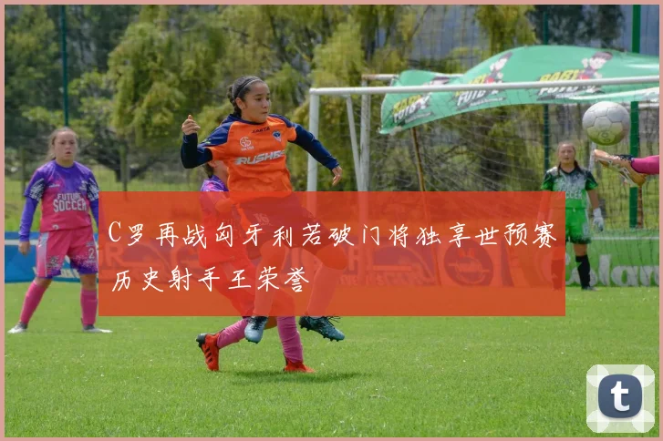 C罗再战匈牙利若破门将独享世预赛历史射手王荣誉