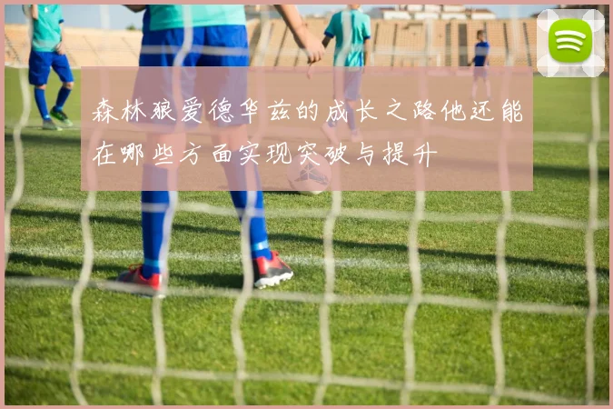 森林狼爱德华兹的成长之路他还能在哪些方面实现突破与提升